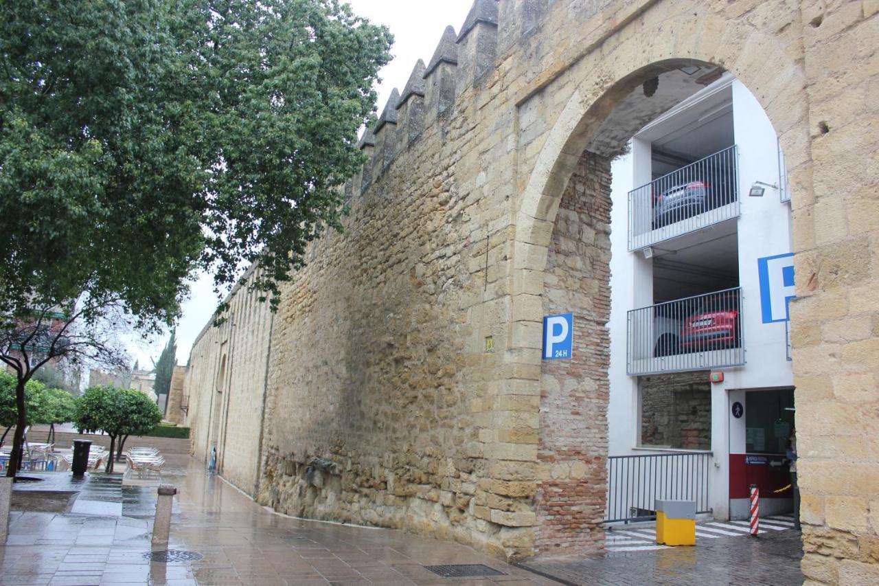 Apartament Loft Turistico En Casco Historico, Wifi Y Tv Satelite Gratis Kordoba Zewnętrze zdjęcie
